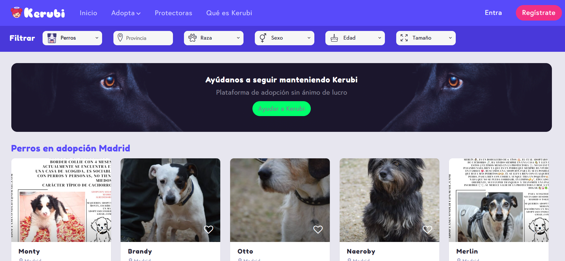 Imagen del proyecto Web Scraper Universal con IA para Recopilación de Datos